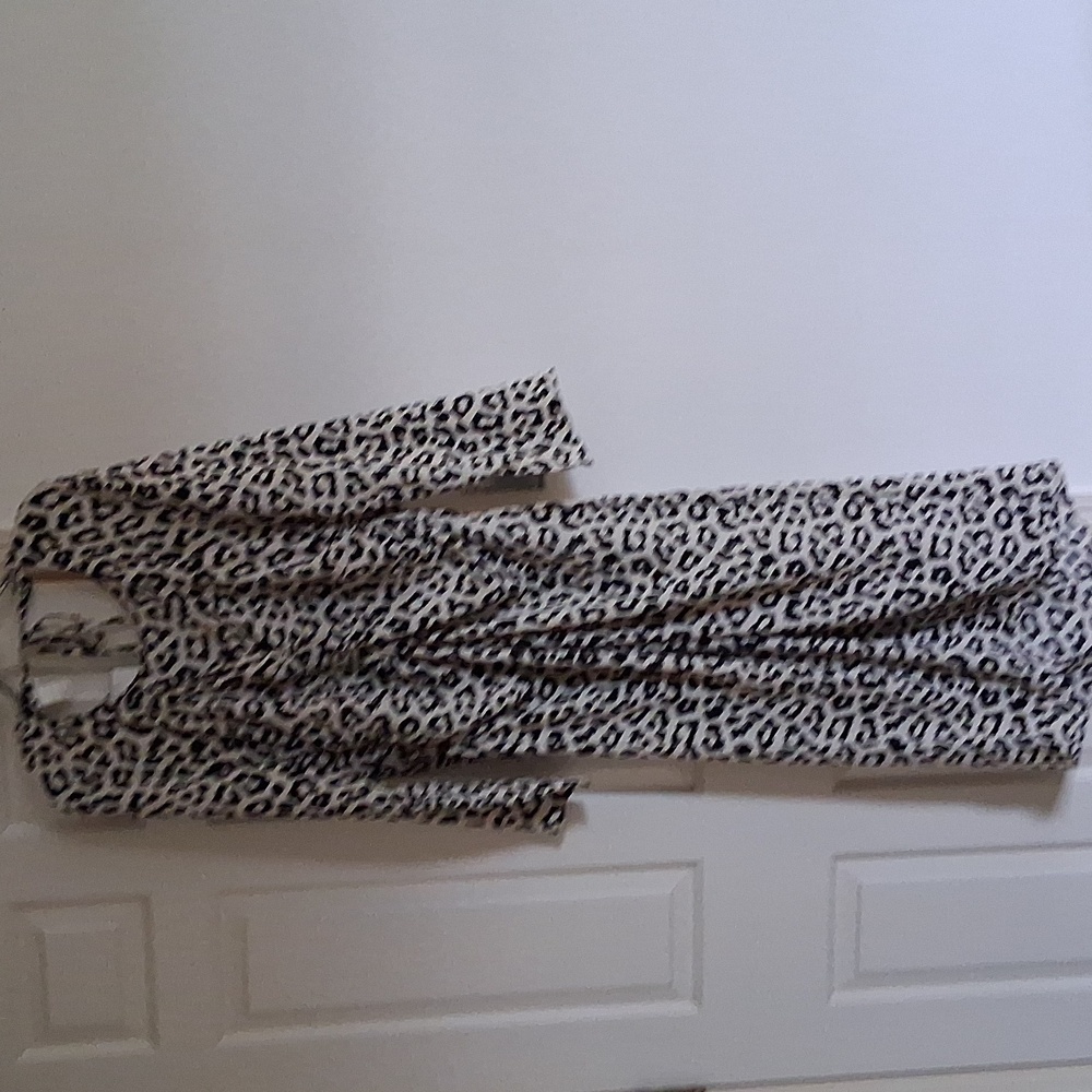 H&M Leopard Print Long Sleeve Dress